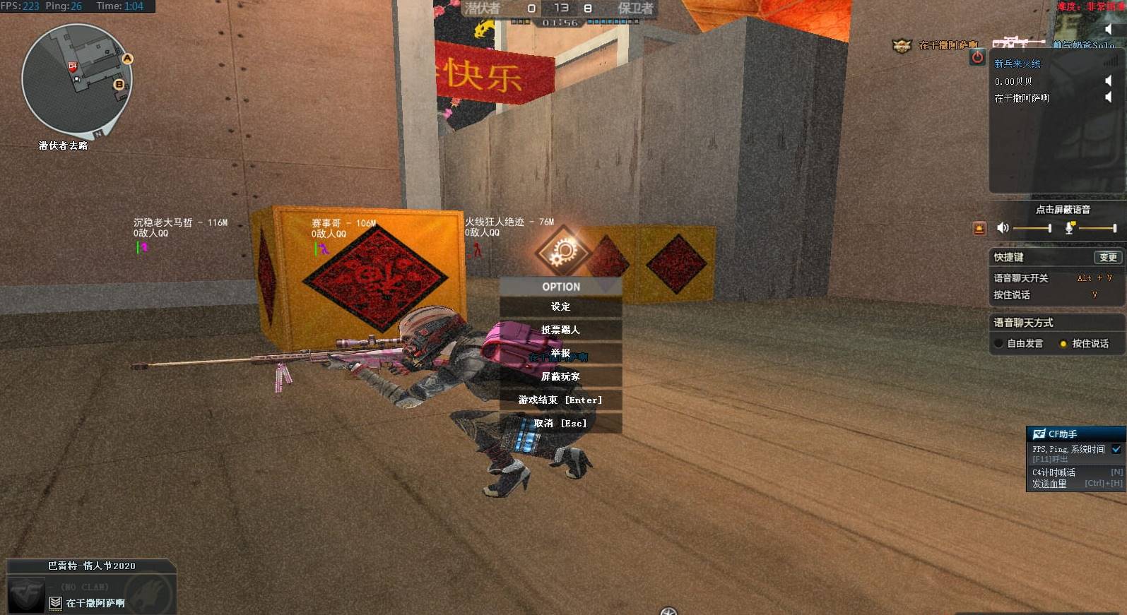 CF·大唐单板方框骨骼透视显血量射线辅助 v4.21
